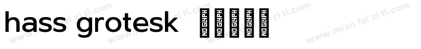 hass grotesk字体转换